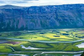 сенсация в национальном парке природа открытие музыка саундтрек