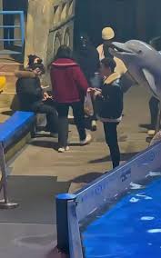 весёлый фон для роликов про воспитание посетителей