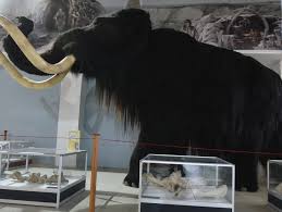 музыка для историй о научных ошибках