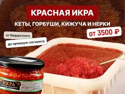 groove для видеомонтажа дегустаций и обзоров