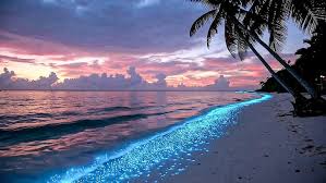 саундтрек для road trip и путешествий