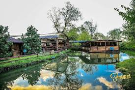 легальная фоновая музыка для sustainable бизнеса