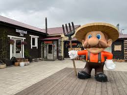 саундтрек для видео о фермерских продуктах