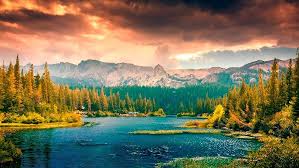 risers 808 challenges shтурм коуч конференц продуктивность