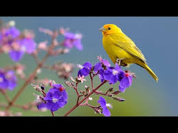 музыка создающая атмосферу продуктивного утра