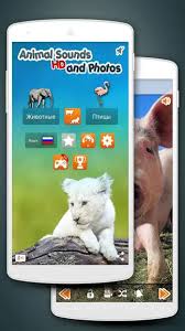 саундтрек для документального фильма о природе