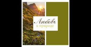 лирическая нежная музыка для сцен с детенышами животных