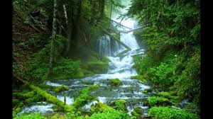 саундтрек для бренда локальных производителей