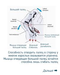 упражнения для пальцев музыкантов арпеджио