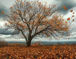 холодные электронные текстуры для фона