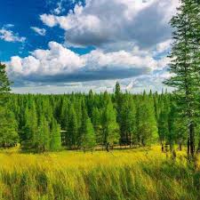 музыка для создания образа родины малой родины или странника