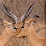 саундтреки простых радостей и мгновений