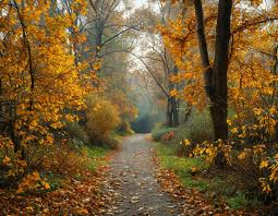 музыка для концентрации при написании текста