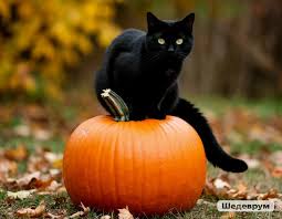 неотвлекающая фоновая музыка