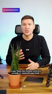 легальная музыка для TikTok