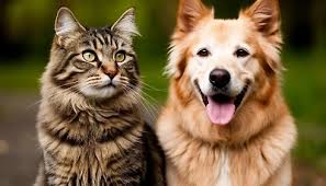 атмосферные текстуры фоновая музыка